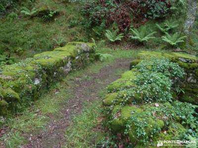 Valles Pasiegos;bosque encantado asturias parque nacional monfragüe monasterio de nuria rutas gorbe